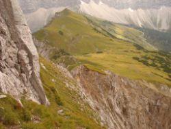 2013-09-08_6Falkenh-Steinfalk (194).JPG